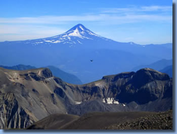 Lanin und condor bei der Tour: Gletscher und reiten in Patagonien